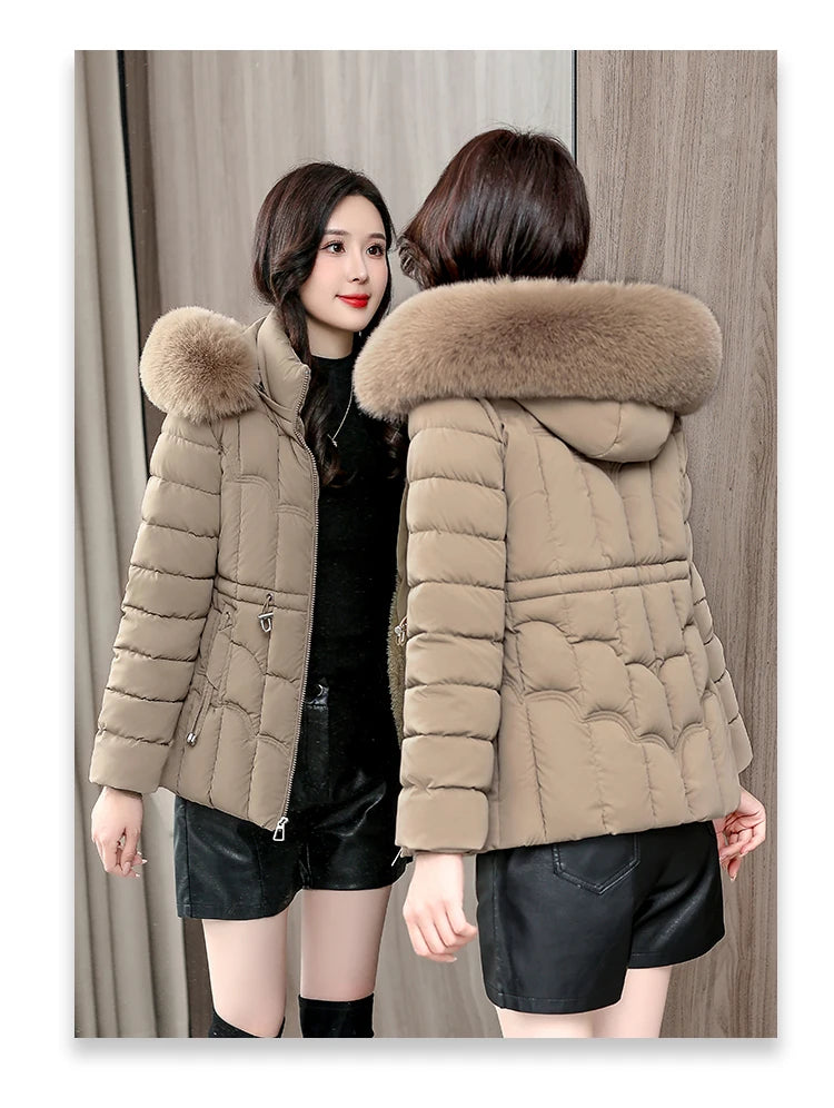 Padded Hooded Down Jacket