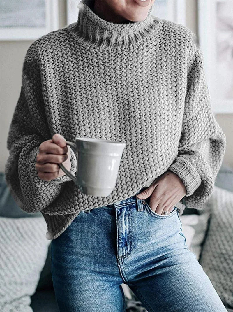 Snug Aura Turtleneck Knit Sweater