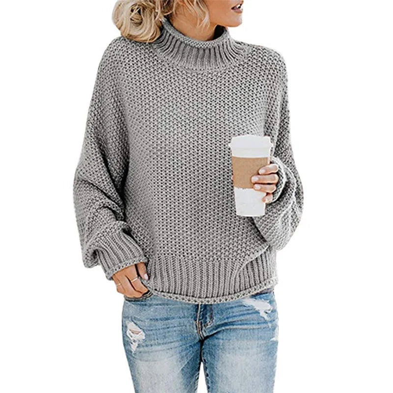 Snug Aura Turtleneck Knit Sweater