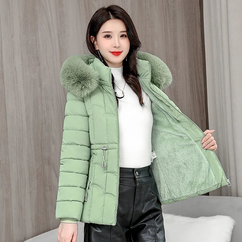 Padded Hooded Down Jacket