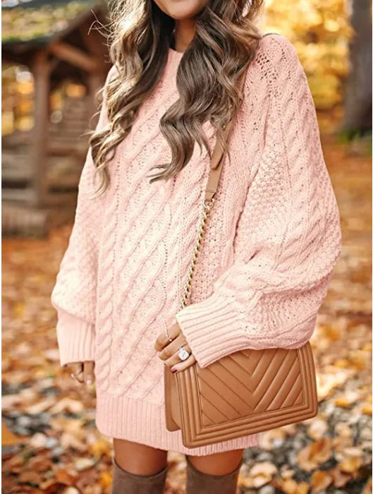 Cozy Nest Thick Knit Turtleneck