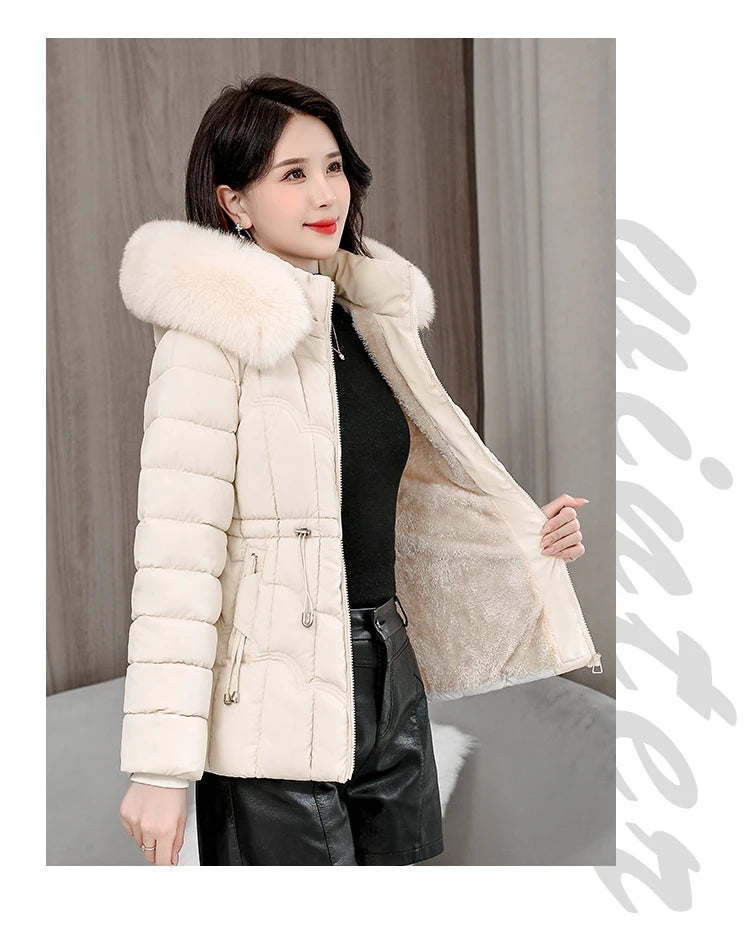 Padded Hooded Down Jacket