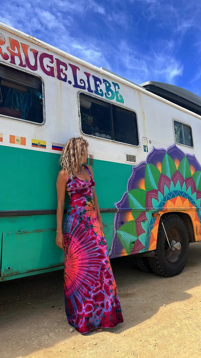 Lace Whisper Printed Spring Dress