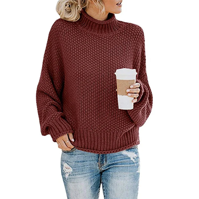 Snug Aura Turtleneck Knit Sweater
