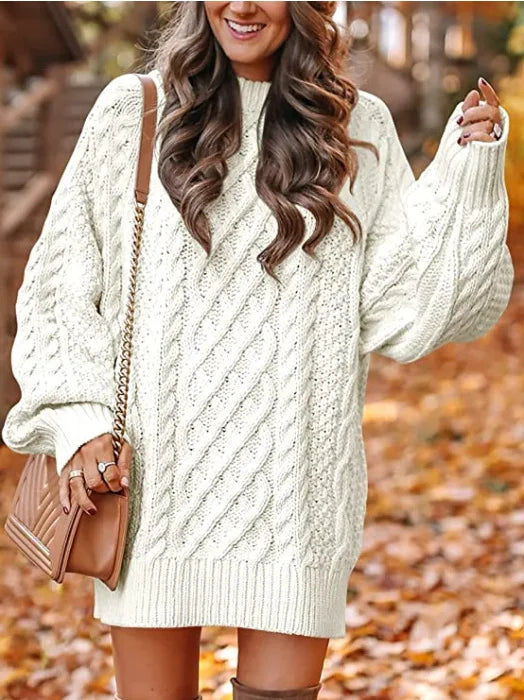Cozy Nest Thick Knit Turtleneck