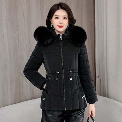 Padded Hooded Down Jacket