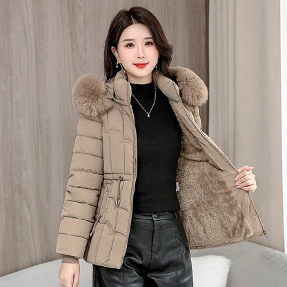 Padded Hooded Down Jacket