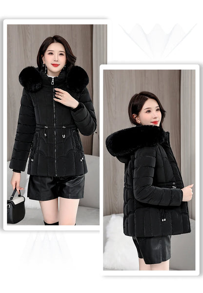 Padded Hooded Down Jacket