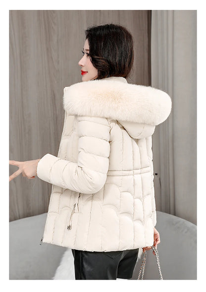 Padded Hooded Down Jacket