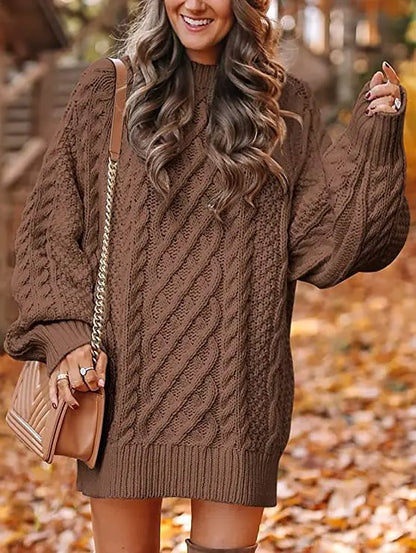 Cozy Nest Thick Knit Turtleneck