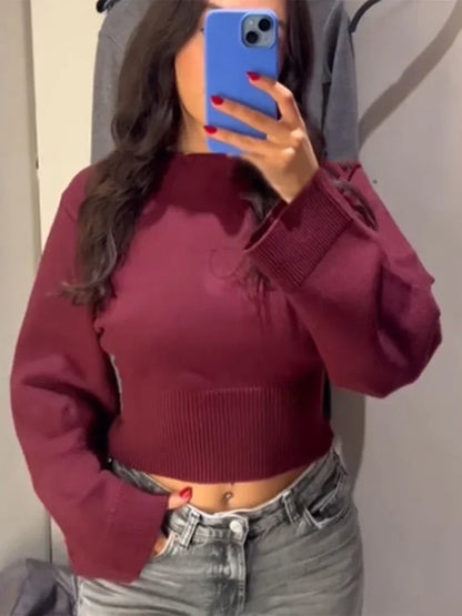 Chic Fluffy Knit Short Sweater