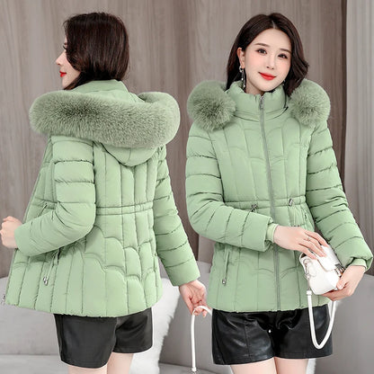 Padded Hooded Down Jacket