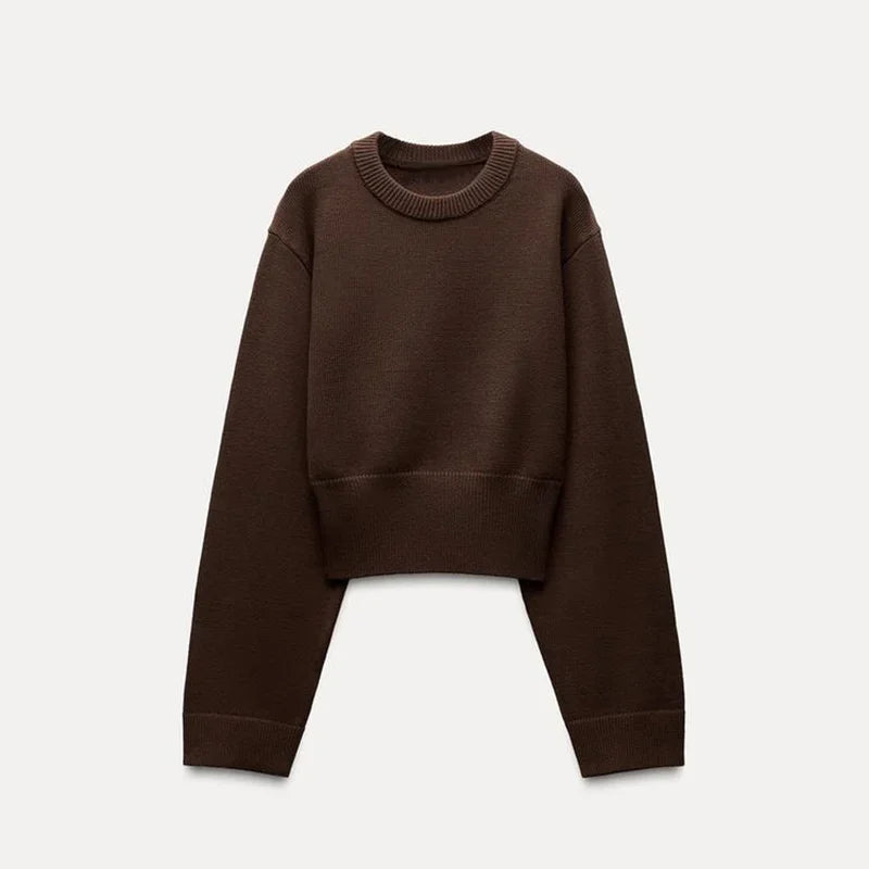 Chic Fluffy Knit Short Sweater