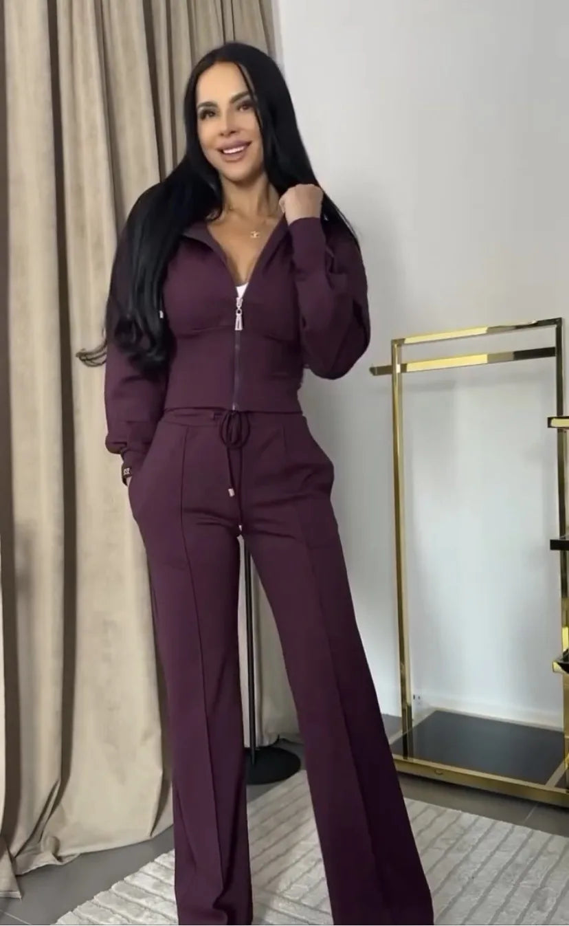 Hooded Zipper Sweatsuit Set