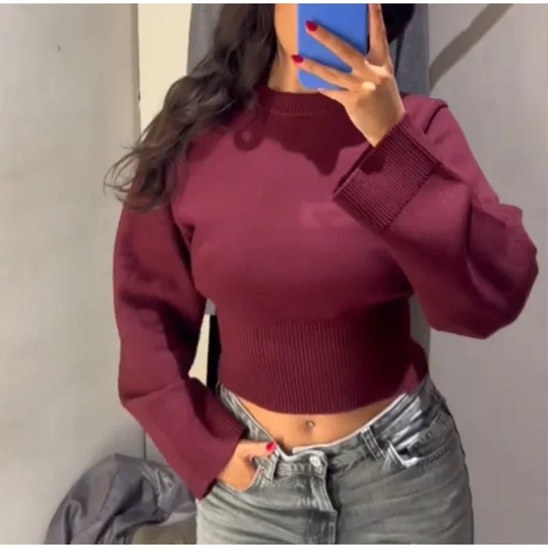 Chic Fluffy Knit Short Sweater