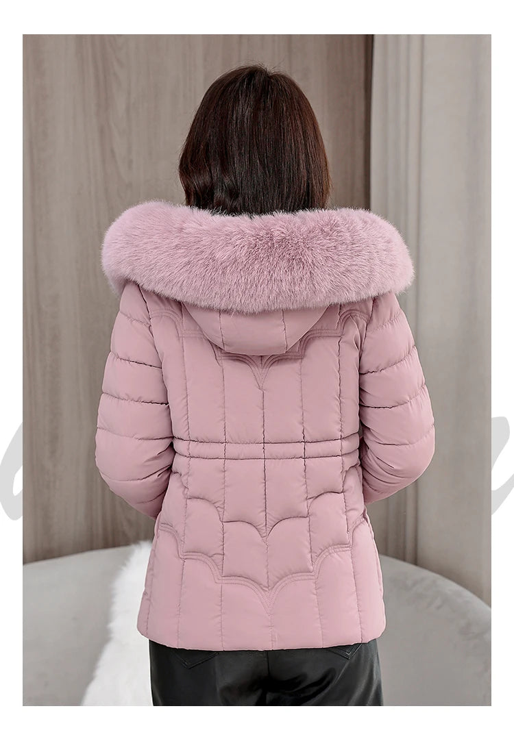 Padded Hooded Down Jacket