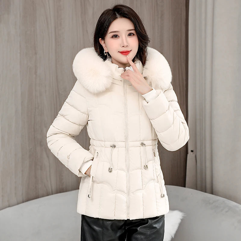 Padded Hooded Down Jacket