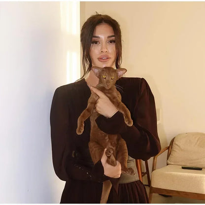 Elegant Waist-Cinch V-Neck Maxi Dress