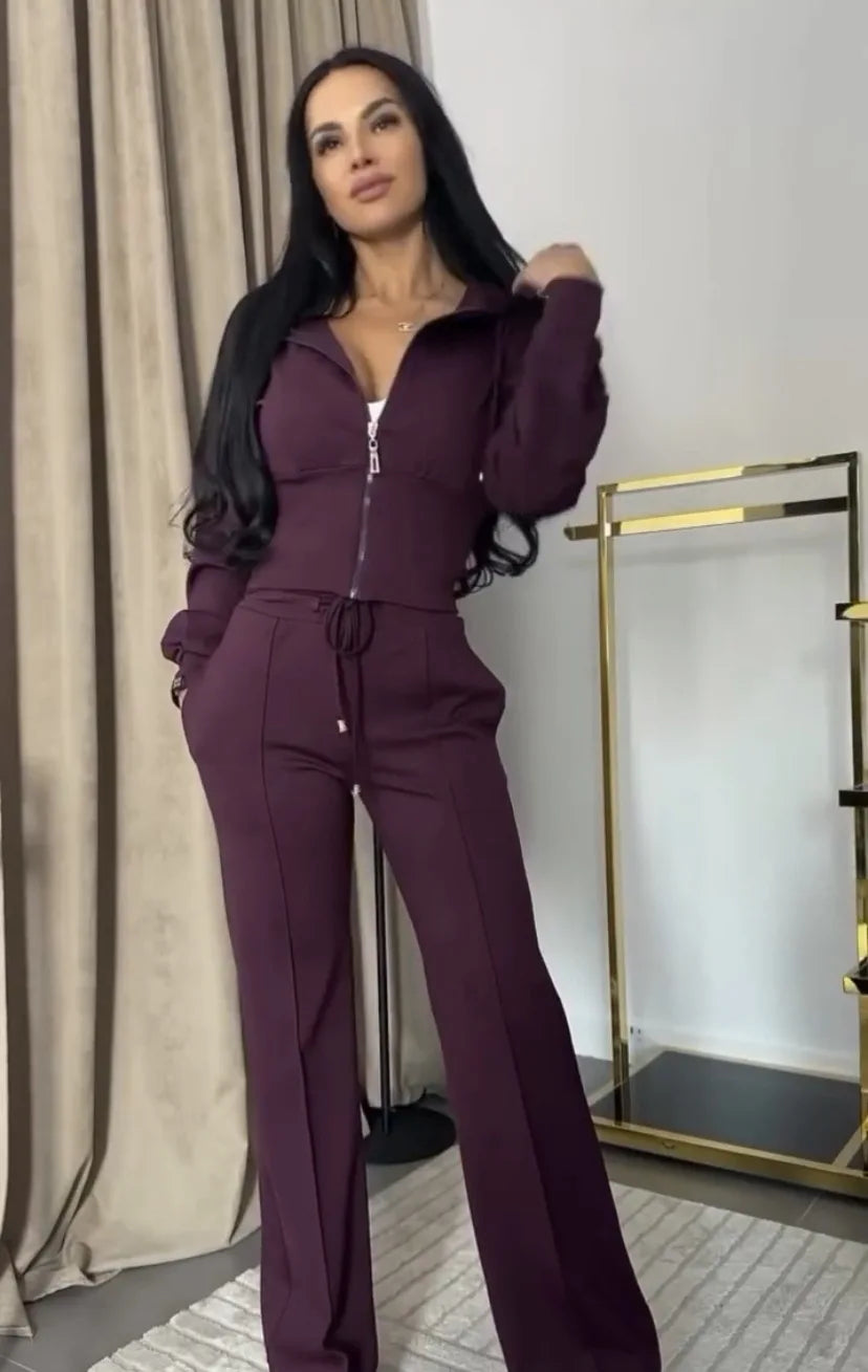 Hooded Zipper Sweatsuit Set