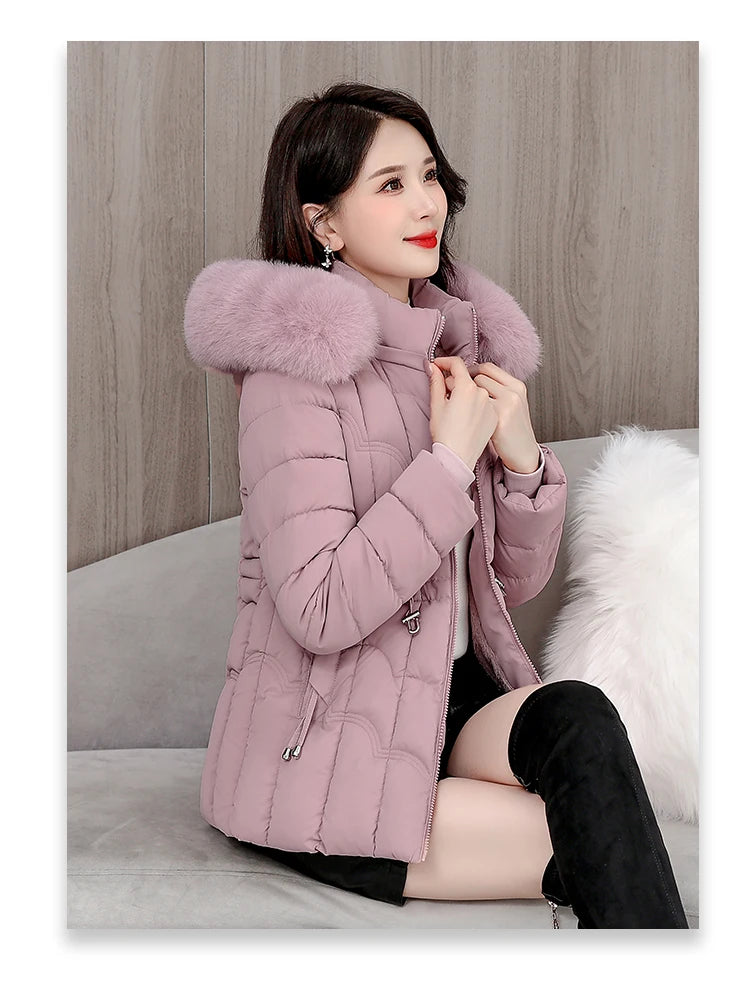 Padded Hooded Down Jacket