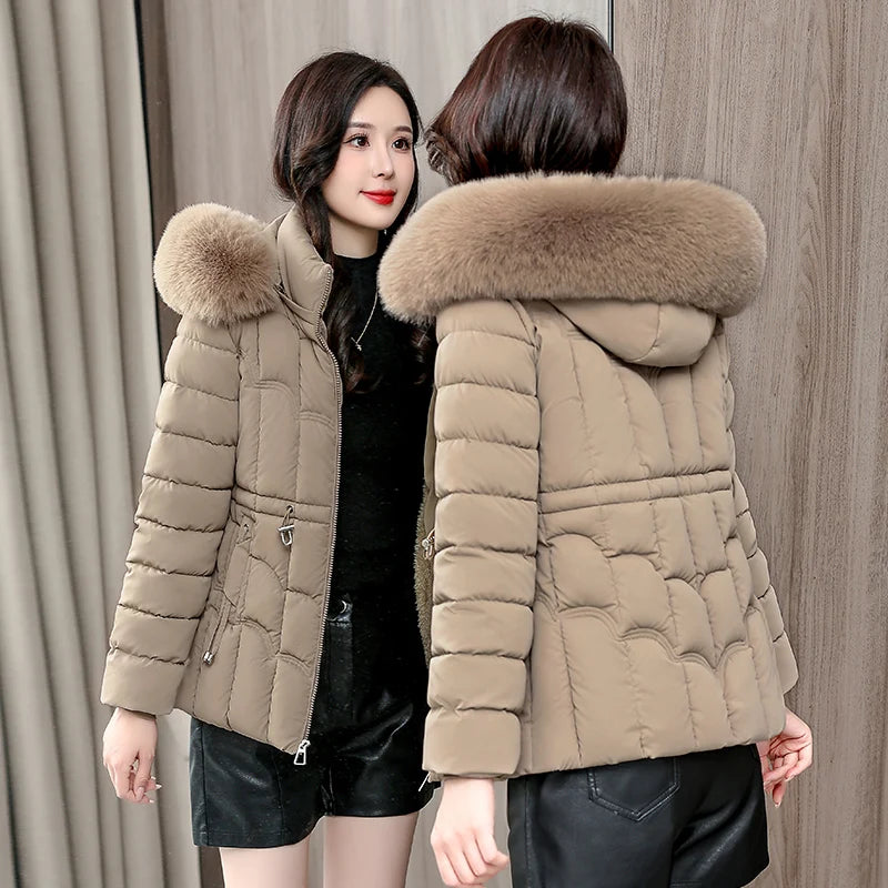 Padded Hooded Down Jacket