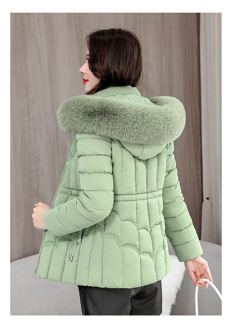 Padded Hooded Down Jacket