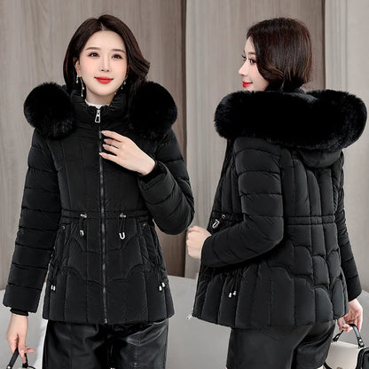 Padded Hooded Down Jacket