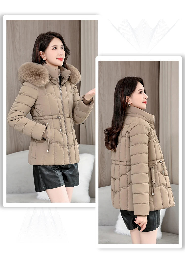 Padded Hooded Down Jacket