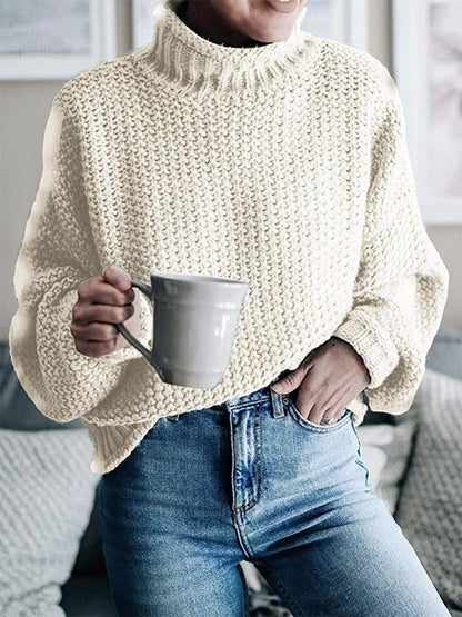 Snug Aura Turtleneck Knit Sweater